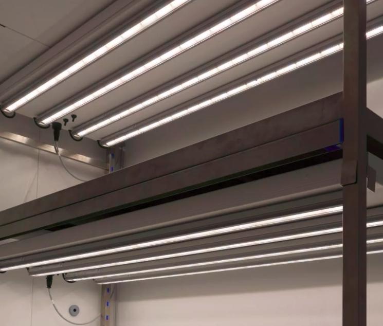 植物生长箱的应用,植物生长箱选择