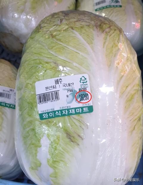 白菜一颗62元！韩国主妇腌泡菜计划泡汤，韩媒表示：这是吃钻石