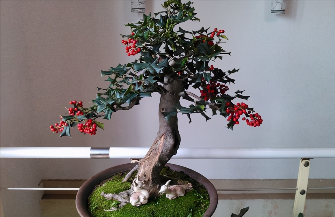 种植致富树的成功案例,农村创业种植什么树赚钱