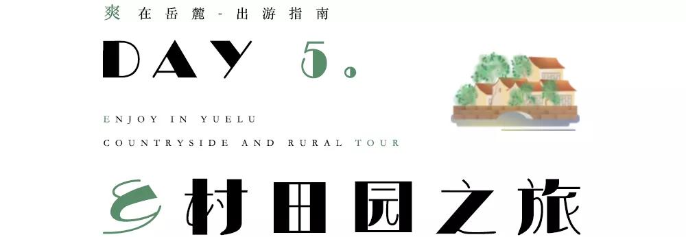 长沙适合野餐的地方,长沙周边遛娃一日游玩最佳地方