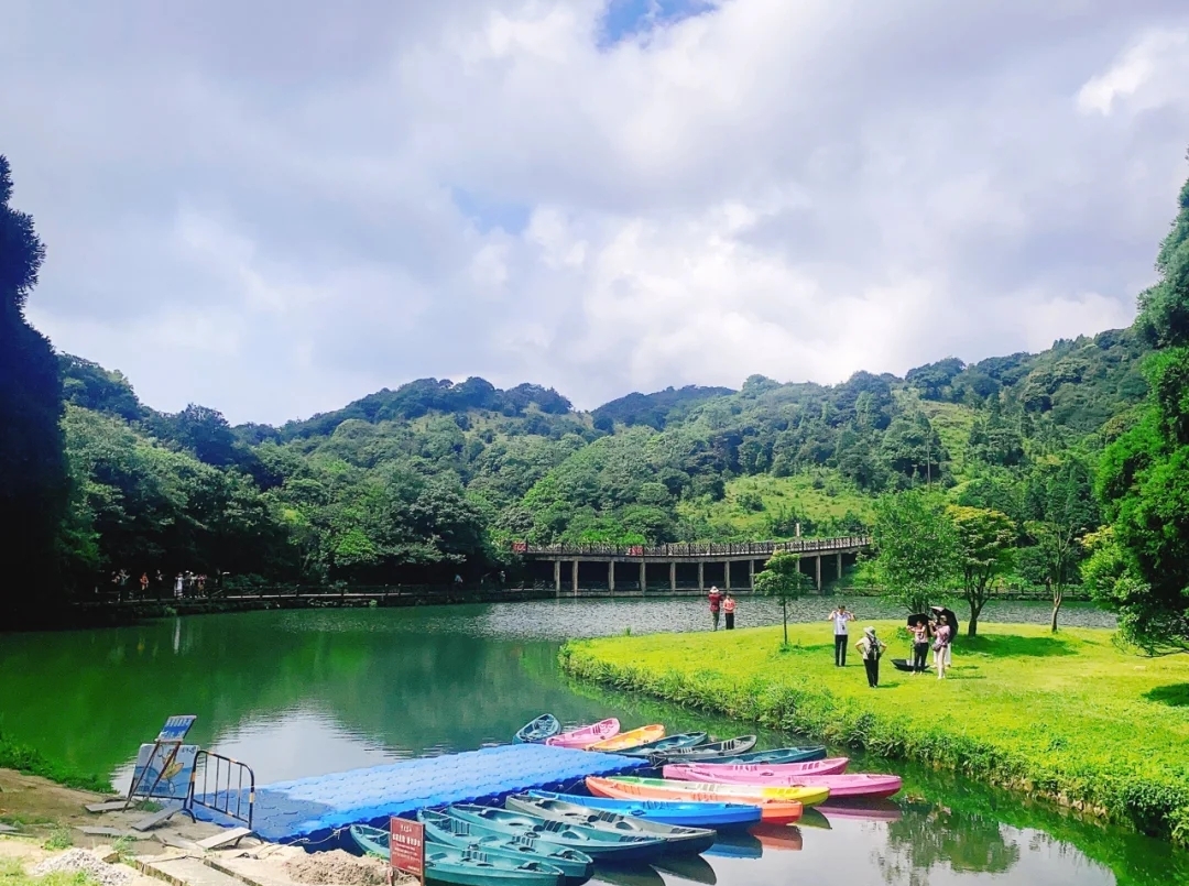 大容山国家森林公园游玩攻略露营,广西高峰森林公园星空露营