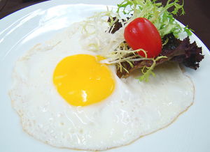 关于鸡蛋你不知道的知识,关于鸡蛋减肥的幽默句子