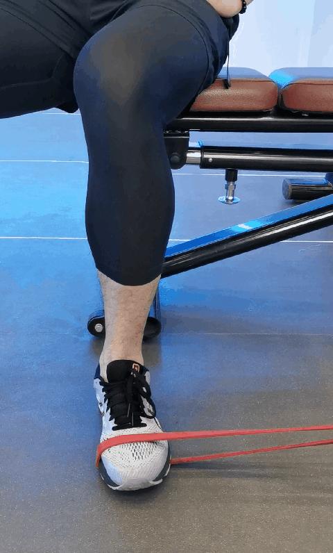 腘肌与膝盖疼痛,膝盖的腘肌