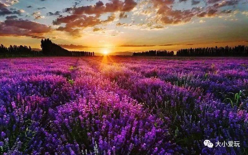 北京庄园旅游景点推荐,北京亲子庄园游玩推荐