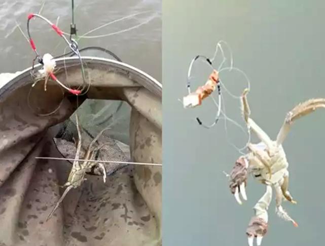 钓螃蟹技巧视频教程,钓螃蟹的绝招视频教程