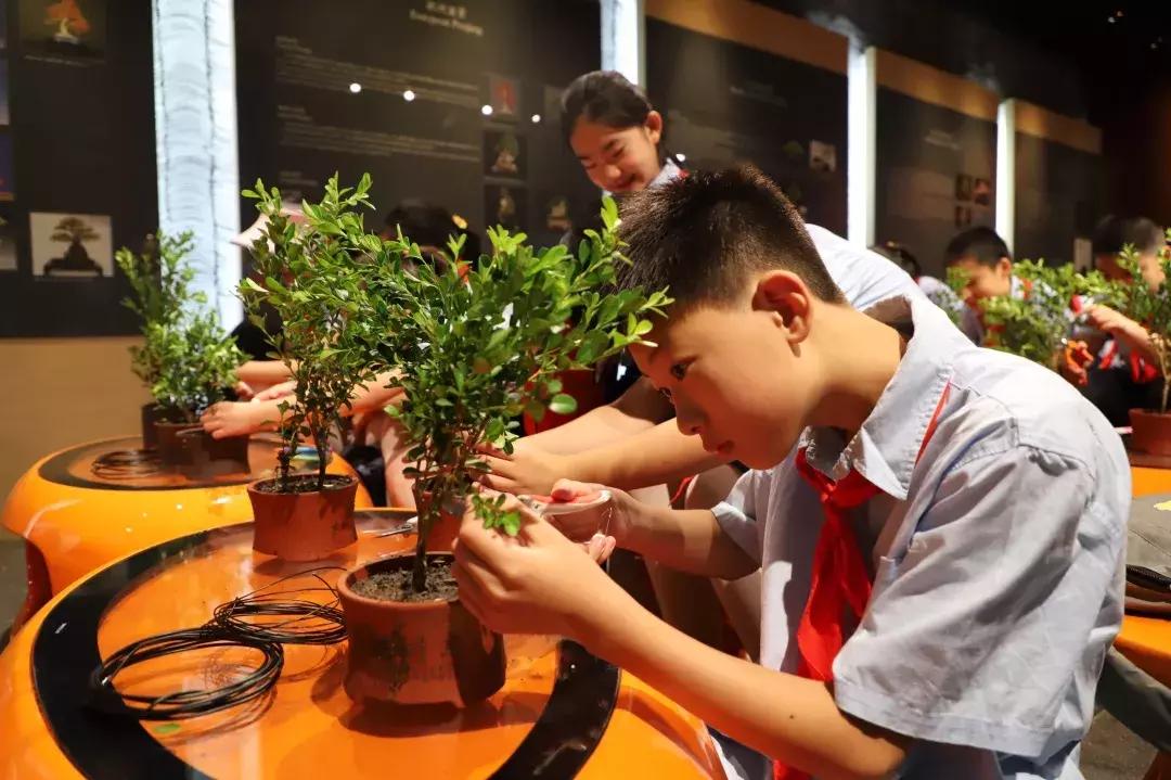 七彩夏日未成年人暑假系列活动,小学生七彩夏日暑假假期活动主题