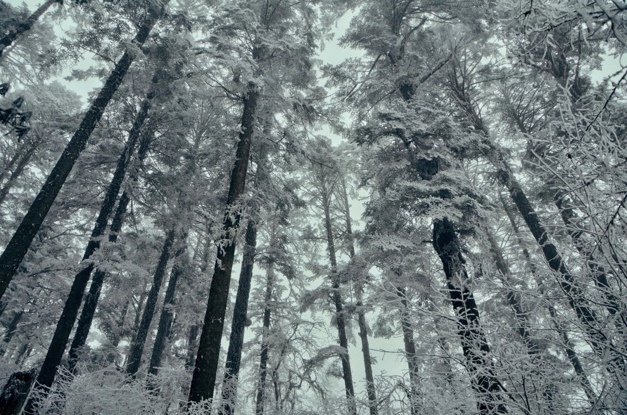 Chengduwow|借束光，请你免费去四川“小京都”泡私汤