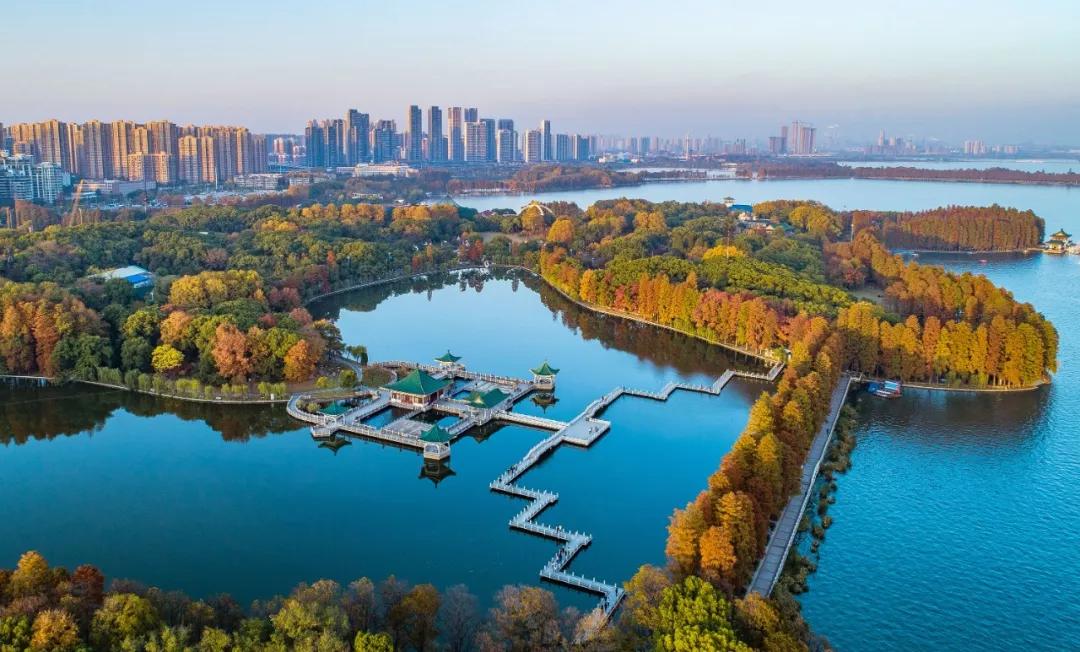 池莉热也好冷也好活着情节简介,池莉反映老武汉风情的散文