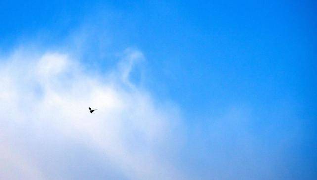 男人向女人示好的想法是什么,男人向女人表白需要准备什么