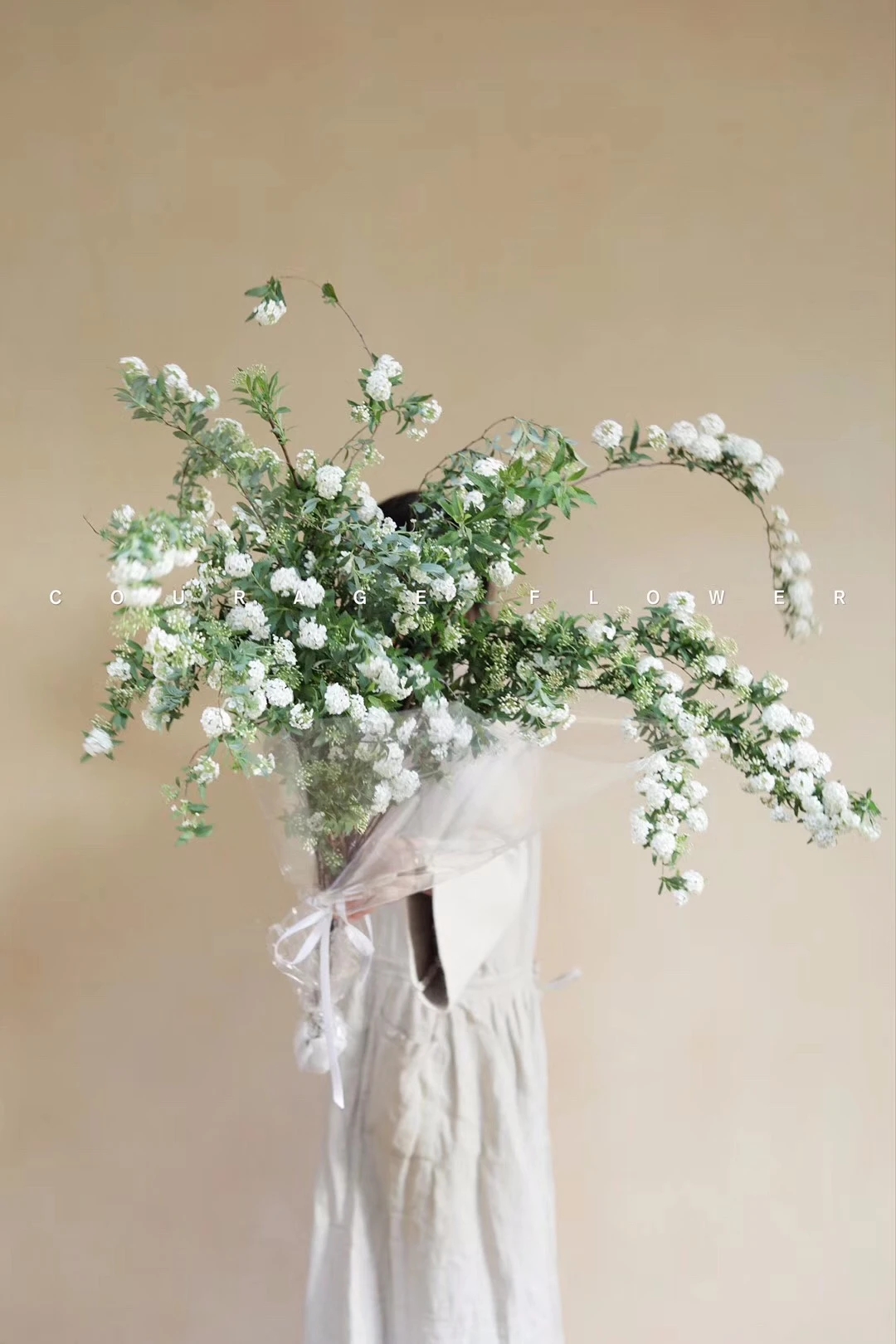 植库‖浪漫清新的小手球，为你带来氧气小森林