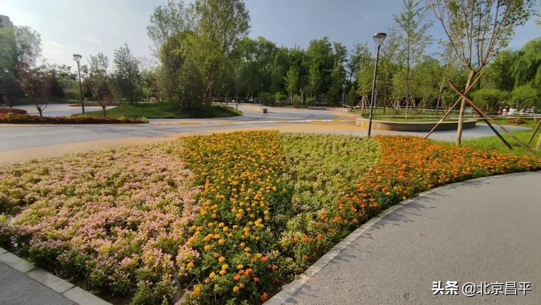 北京庆七一花坛摆放图片,北京长安街迎国庆立体花坛亮相