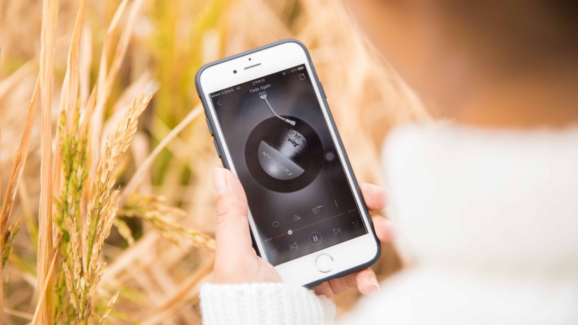 大学您的假期余额已不够,温馨提示你的账户余额不够