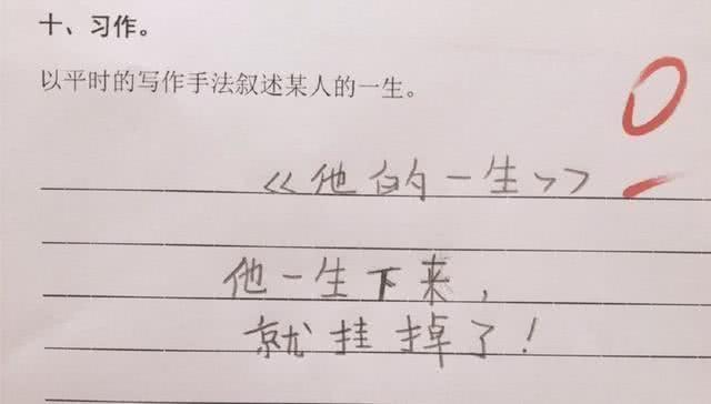 小学生神作文走红,小学生心酸作文走红