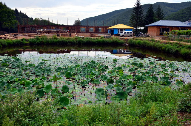 “禁野是武断的,野味是人类刚需”,这个组织为何要逆流发声?