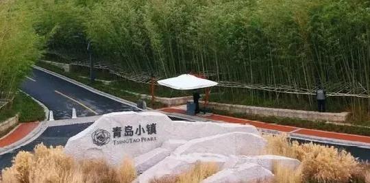 “流量王”海岸·万科城全靠尬吹？宣传夸张引起百姓不满