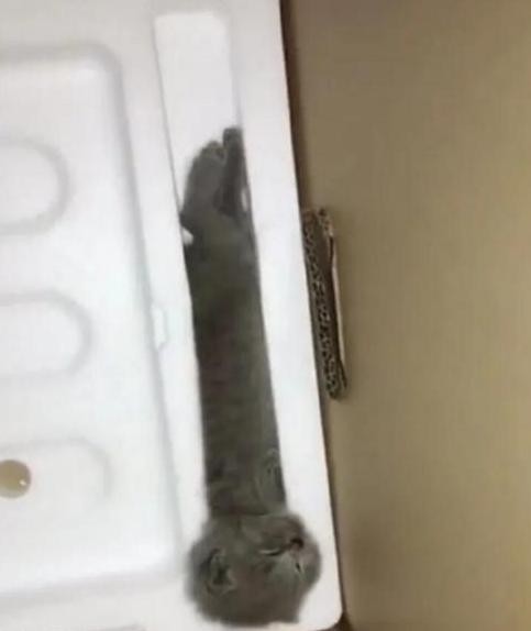 今天过来按脚，恰巧碰见了前女友，我该怎么化解尴尬呢？哈哈哈