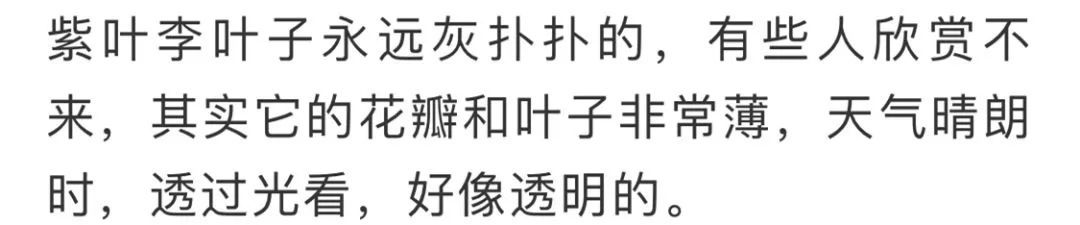 看到花的时候，不知是什么花？那就收下这份百花图谱