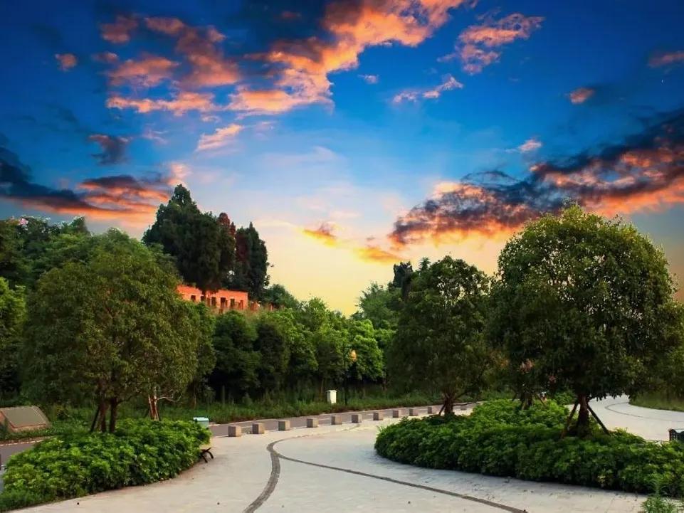 上千架无人机秀涪陵视觉震撼全场,内江800台无人机灯光秀