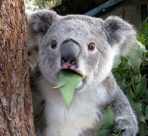 如何缓解预期性焦虑,应对焦虑心理的方式有哪些