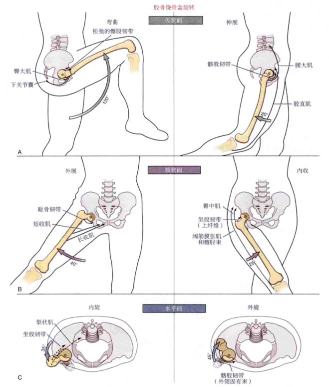 顽固性腰痛怎么治愈,困扰多年的腰疼问题终于搞清楚了