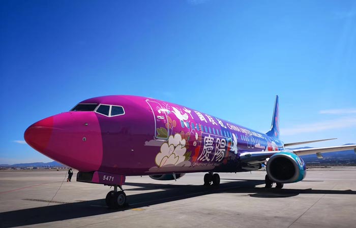 全球首架进博号彩绘飞机视频,中国联合航空庆阳号模型