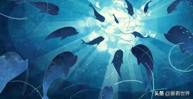 3-6岁儿童益智动画片5部经典,8-12岁好看的益智类动画片