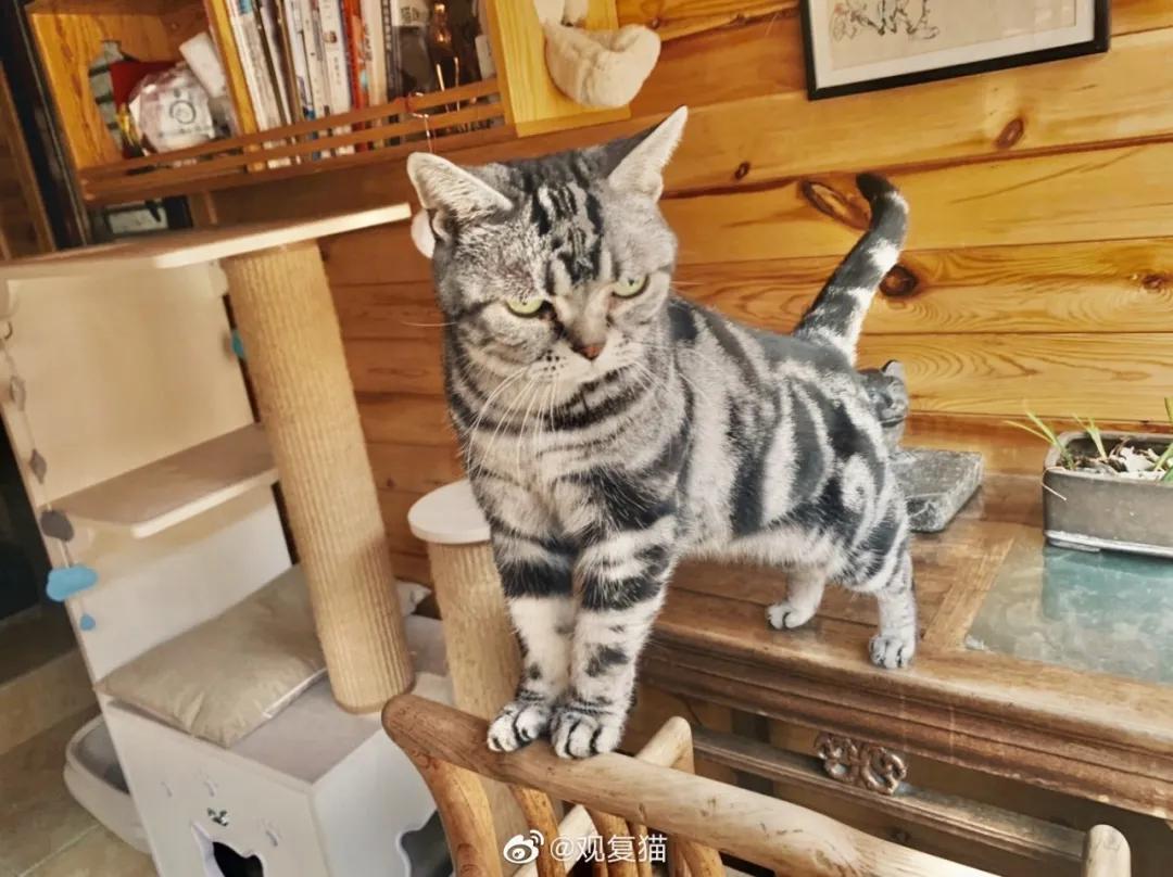 大家盼望的真实事件,掉缸事件怎么处理