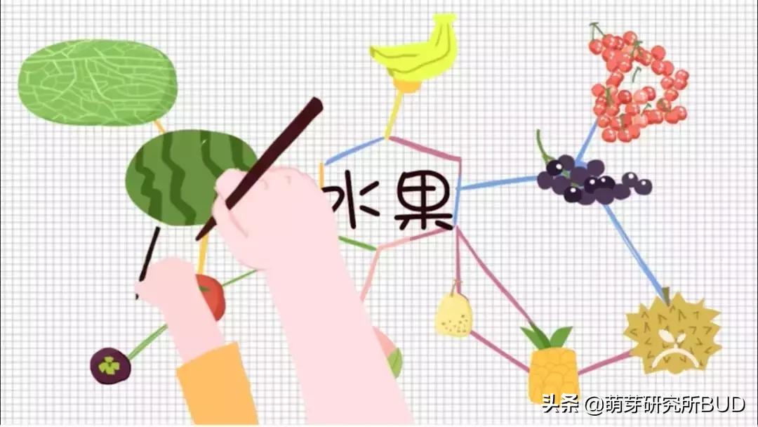 英语单词宝典,英语入门单词必背带音标