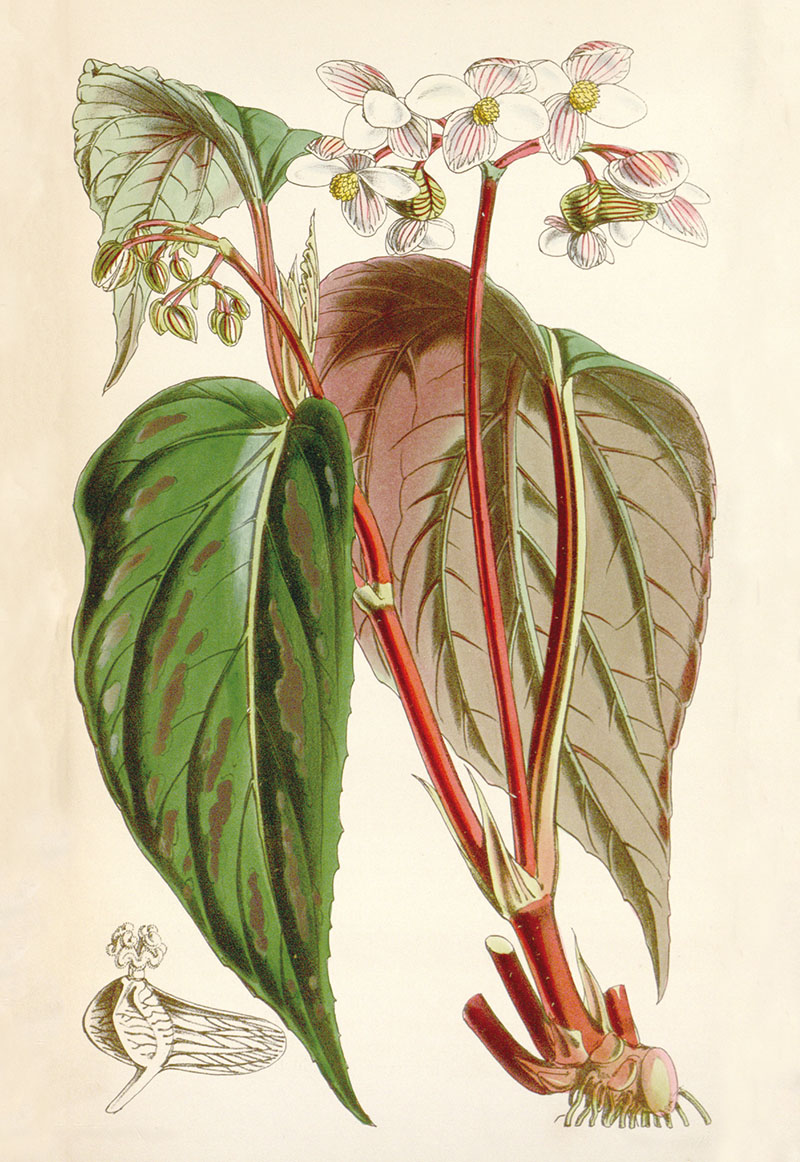 目前有多少种物种受到灭绝的威胁,物种受到威胁停滞繁衍