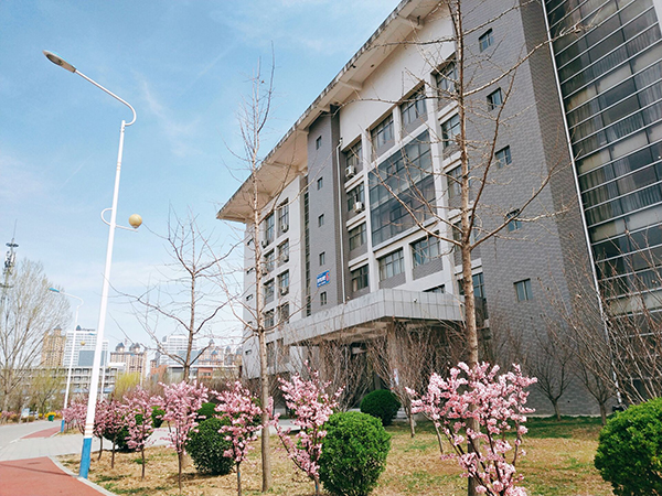 枣庄科技职业学院23年单招分数线,枣庄科技职业技术学院2021分数线