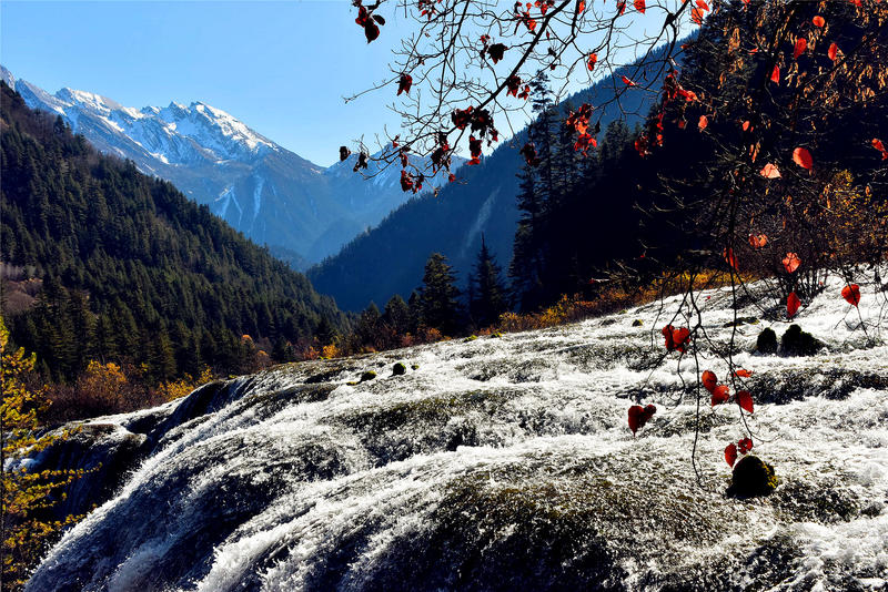 置身于童话中的九寨沟,畅游人间仙境黄龙九寨沟七日游