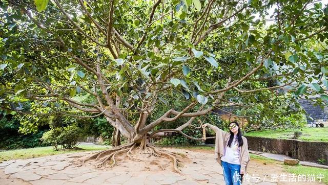 腾冲从早到晚旅游攻略,腾冲7月旅游攻略