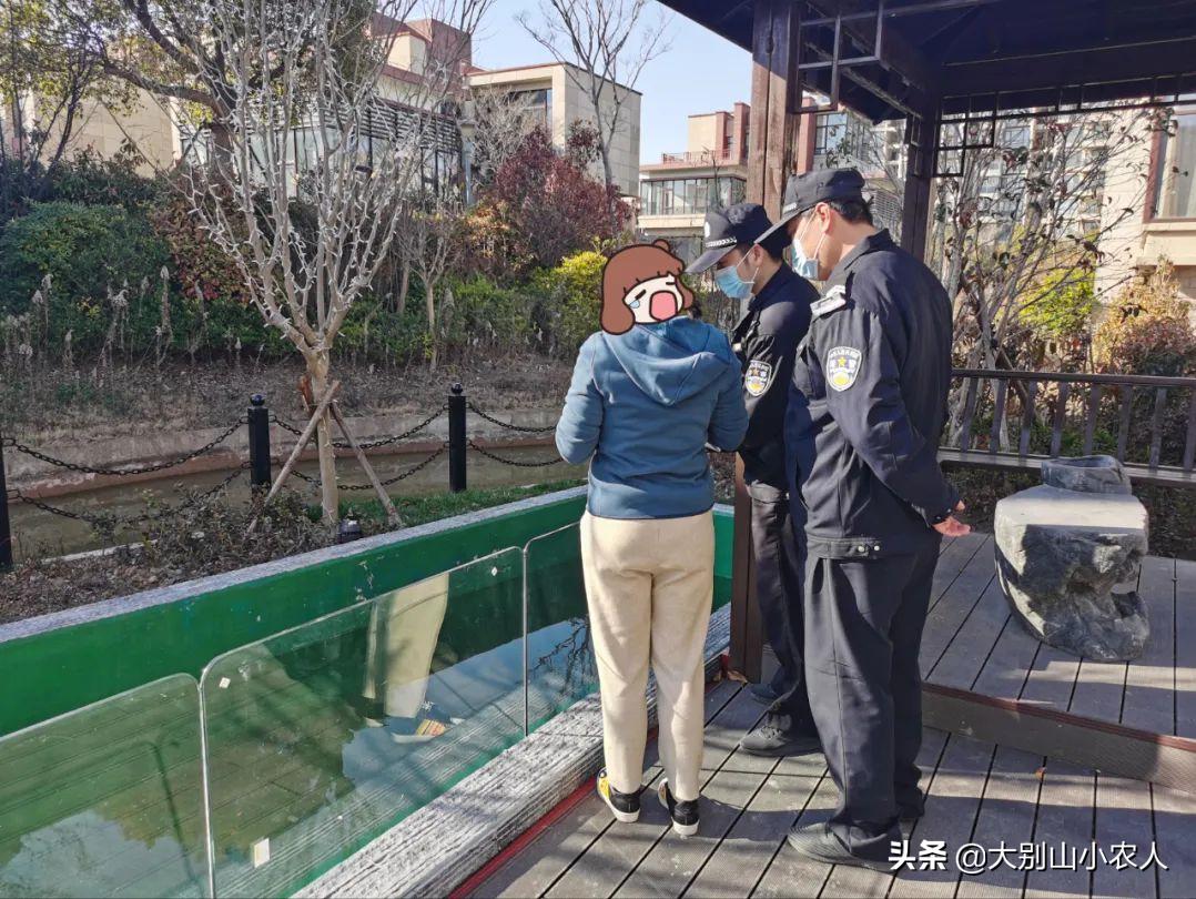 烫嘴的锦鲤：可活200岁，八旬老人为之翻墙，却因颜值决定生死