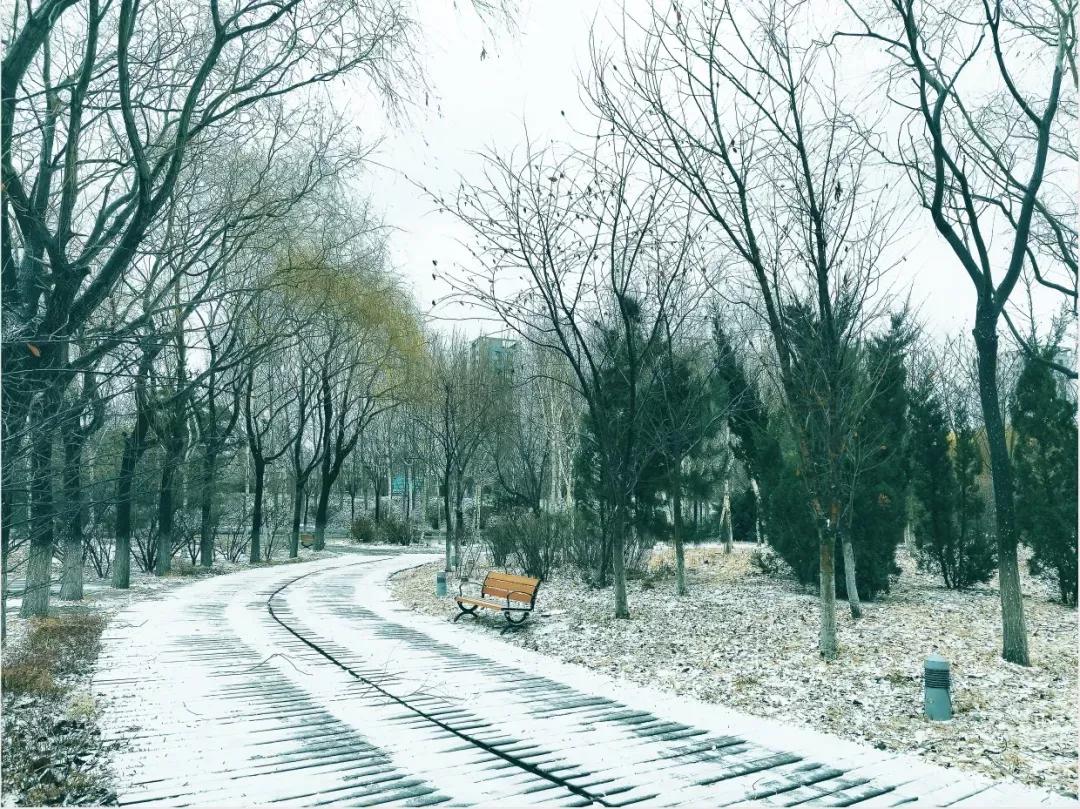 辽宁省普通高等院校（二十五）沈阳工程学院