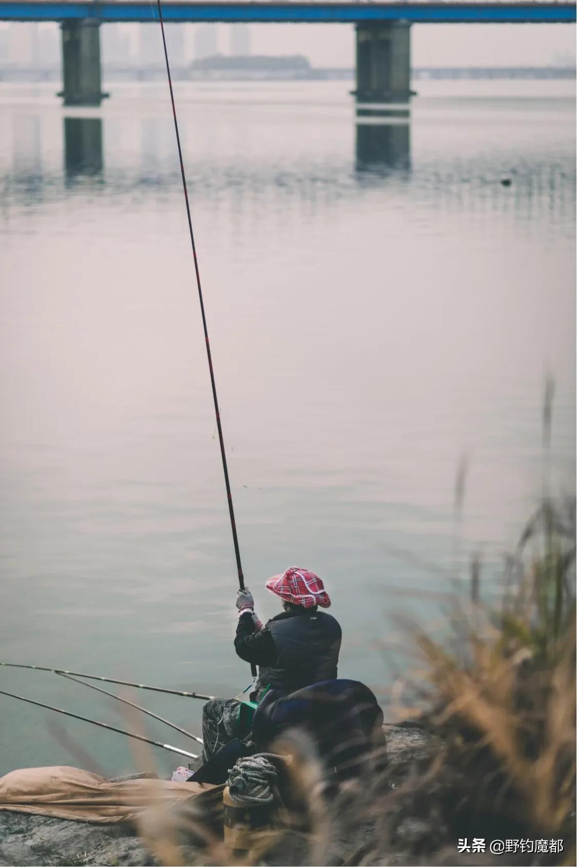 入门级钓竿选哪个牌子,新手入门钓竿推荐哪款好