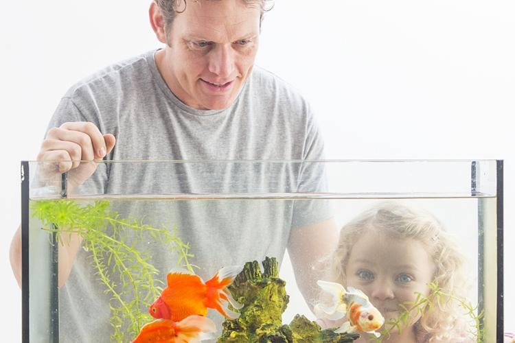 鱼缸用了几年了如何彻底清理一下,鱼缸用久缸壁变浑浊了怎么清理