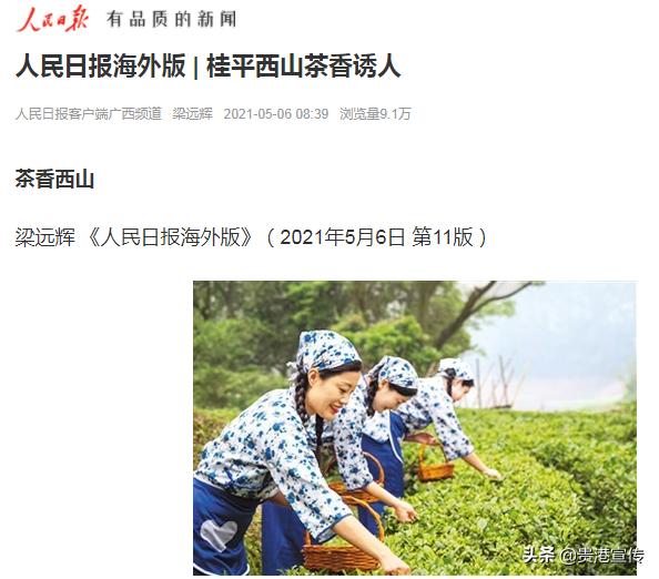 牛犇犇直播视频,牛犇直播人气