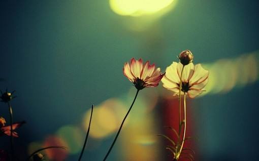 穷人不敢创业的原因是什么,穷人不敢创业的原因