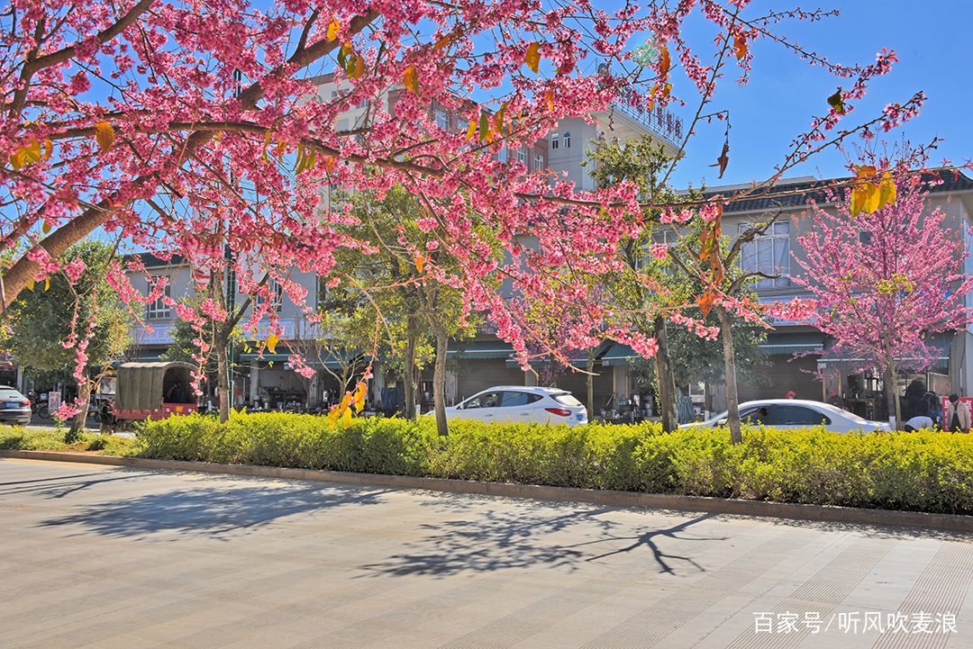 昌宁冬雾,昌宁雪花