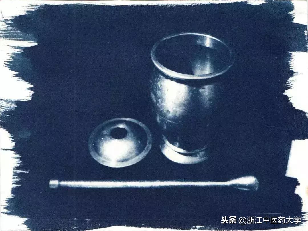 用镜头诉说中医药之美