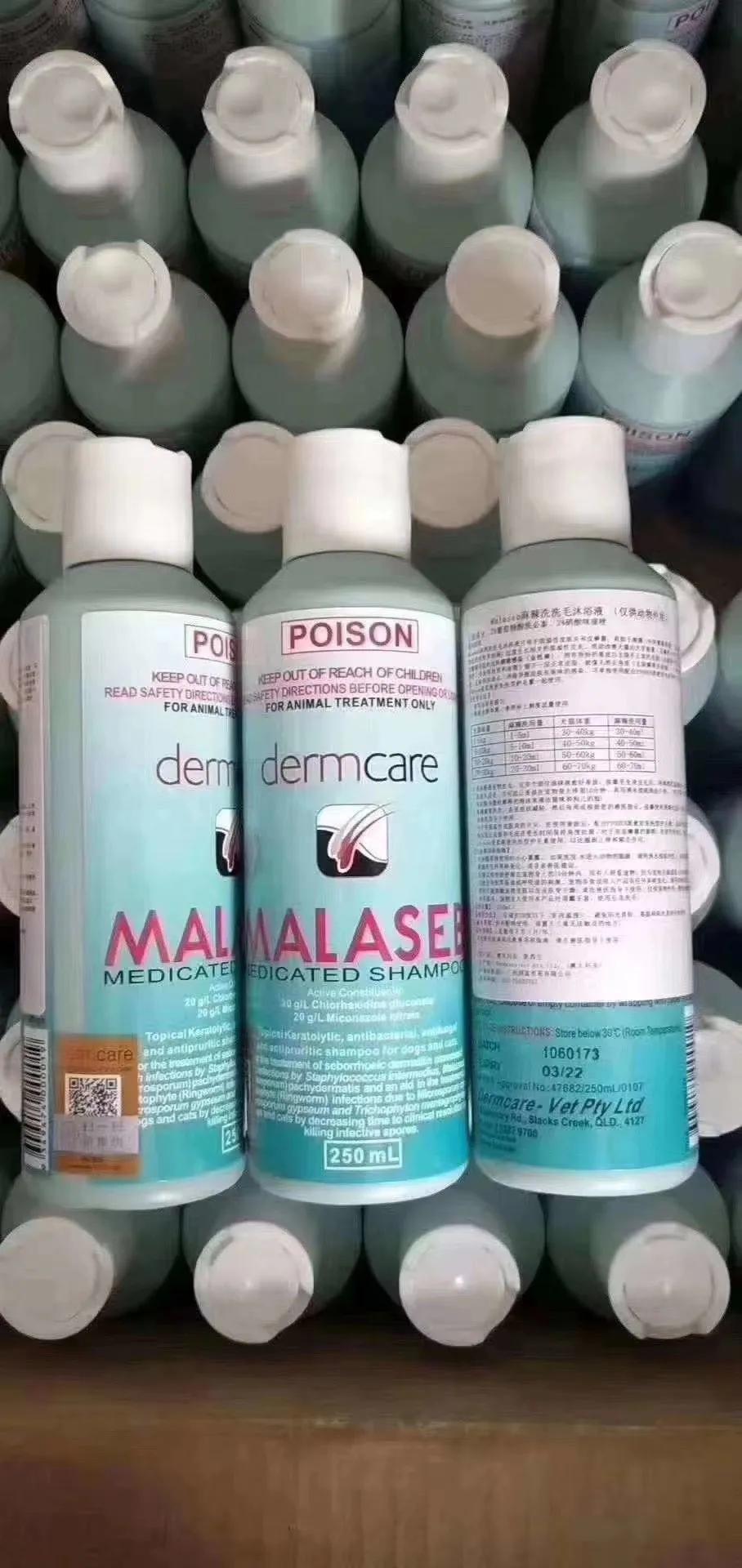 十年老猫舍深谈，如何发现，应对，治疗《猫藓》