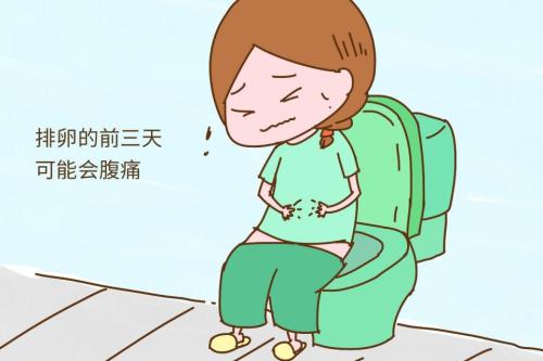 排卵期可以按压输卵管吗,排卵期能摸手吗