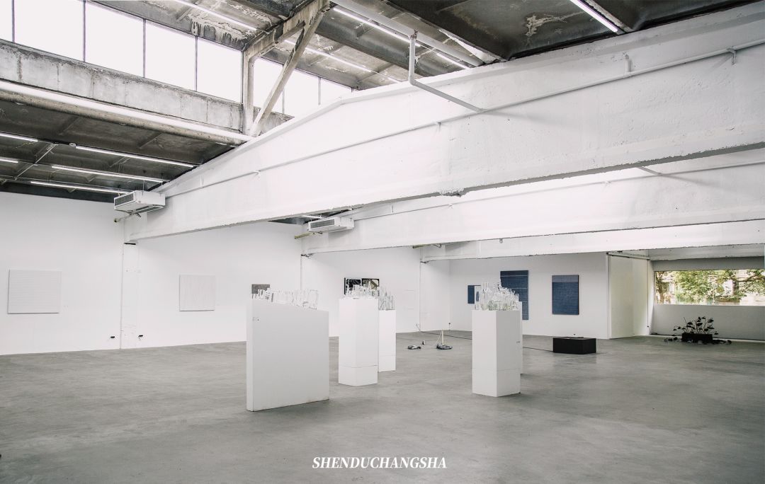 长沙旅游攻略必玩的十大景点介绍,长沙适合秋季打卡的景点