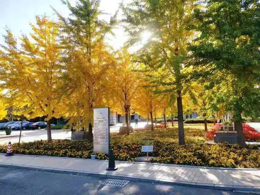 东北曾经最牛的大学,曾经东北三省最牛的大学