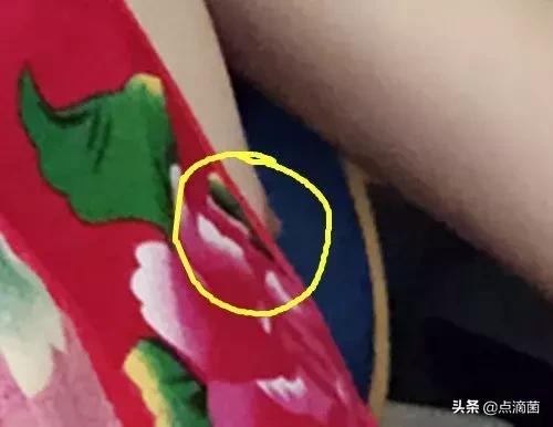 女主播小苍,女主播自曝体重