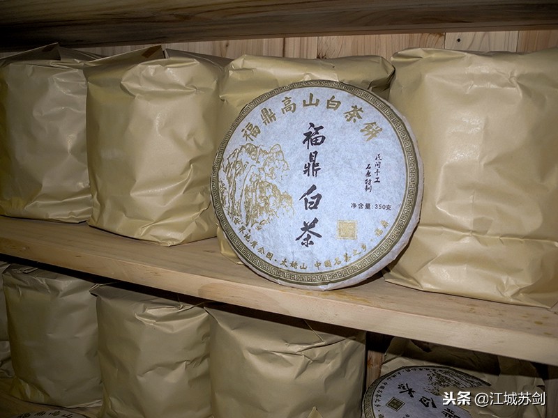 在远隔福鼎千里的大学生创业园，我们见识和品赏了福鼎白茶