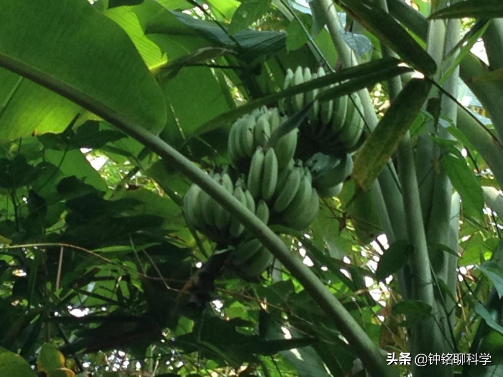 4名失联地质人员仍在搜救中,考察队员4人失联原因