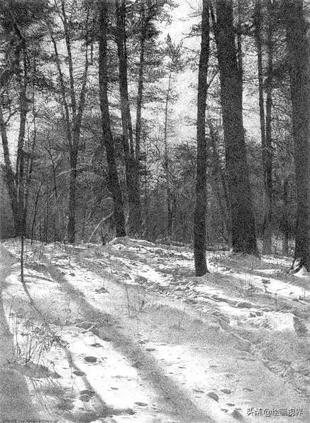 不会画就别学,不会画素描写生