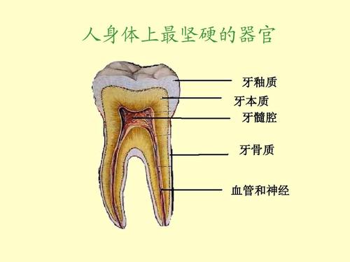 牙齿为什么会出现两种颜色,牙齿变色变成黑色是什么原因