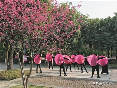 植树造林美龙城林下产业富百姓——市林业和园林局积极推进“花园城市”建设打造宜居宜业柳州侧记